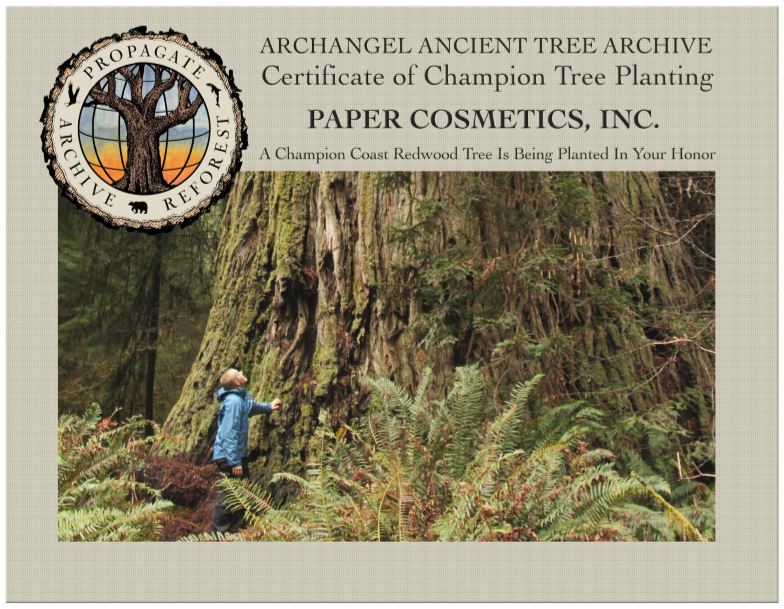 Support the mission of Archangel Ancient Tree Archieve with Paper Cosmetics Deodorant